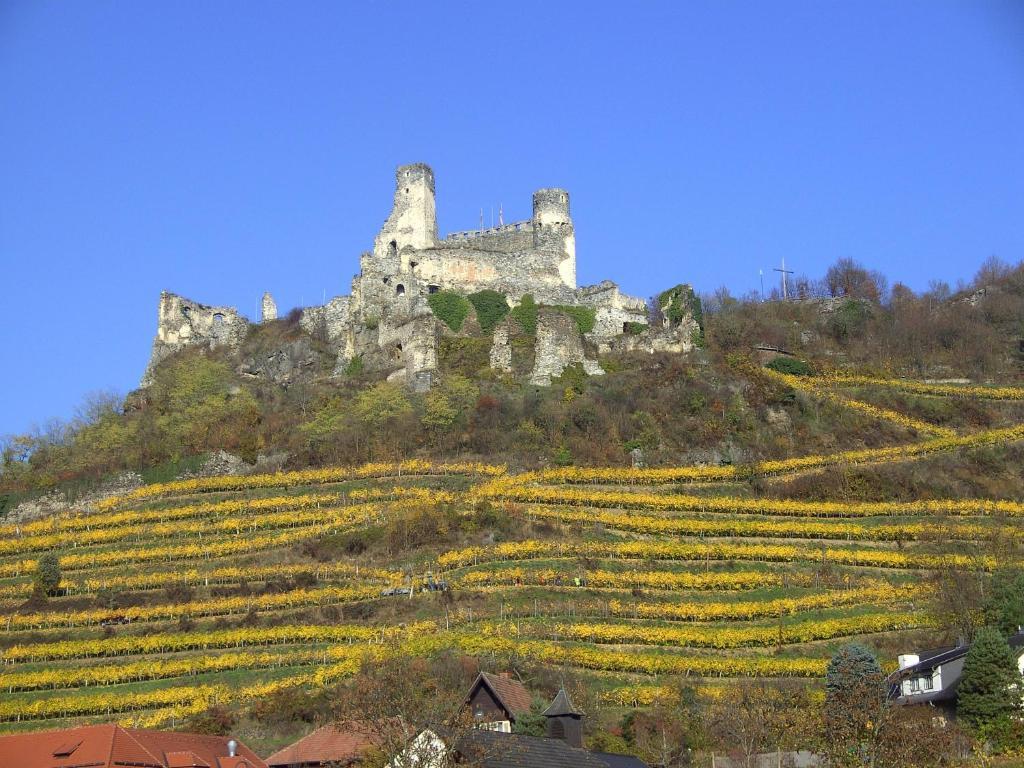 Frühstückspension Leopold Janu Senftenberg Exterior foto